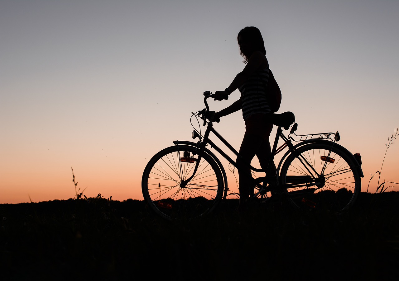 stella e-bike specialist stella e-bike specialist